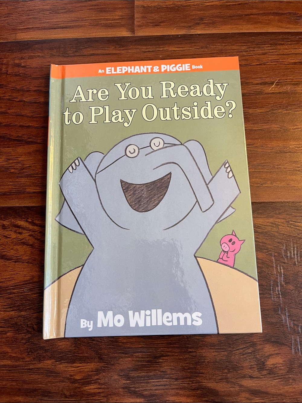 ⭐️⭐️ PICK 5 / $20 Elephant & Piggie "Are You Ready to Play Outside?" Mo Willems